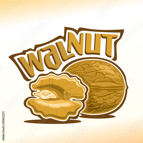 Vector illustration on the theme of the logo for walnut nuts, consisting of nut-in-shell and half of the peeled kernel of the nut
