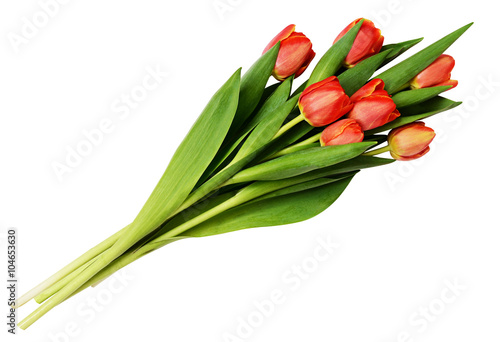 Seven red tulip flowers bouquet