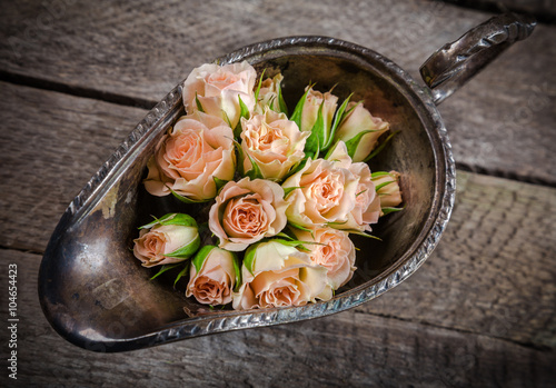 cream roses in old metal bowl on wooden background