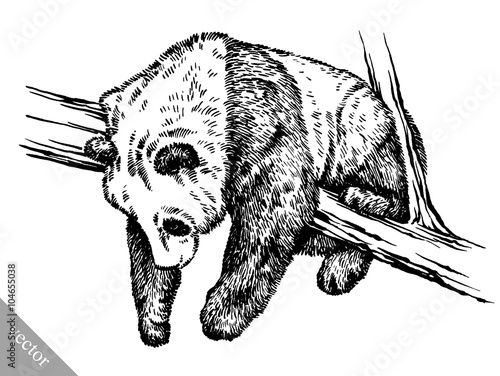 engrave ink draw panda illustration