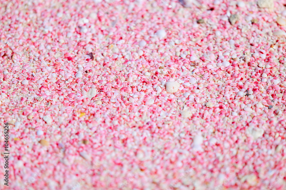 Barbuda pink sand beach Barbuda pink sand beach