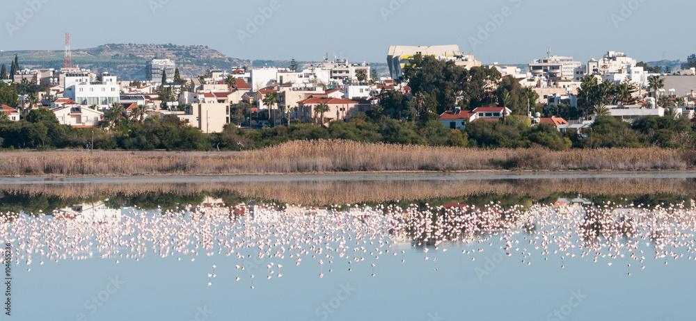 Panoramic view of the city of Larnaca, CYPRUS
