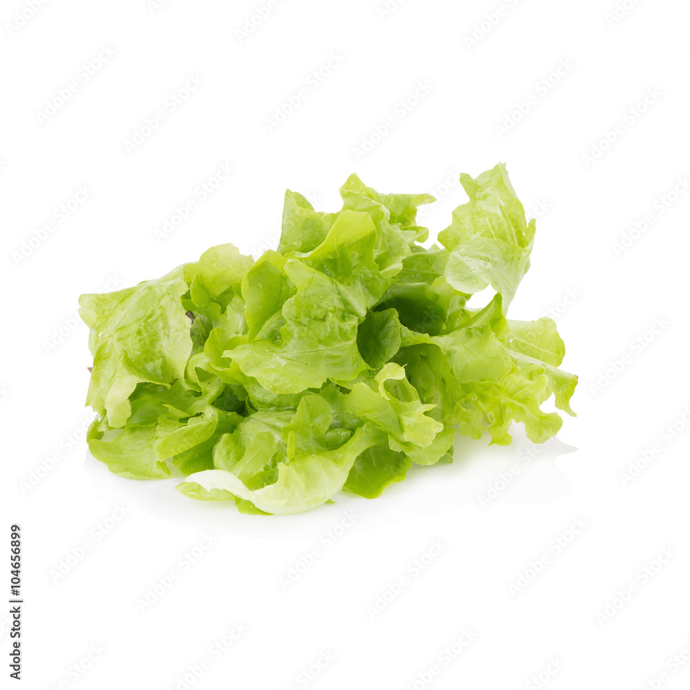 Chopped oakleaf lettuce on White Background. Chopped oakleaf lettuce on White Background.