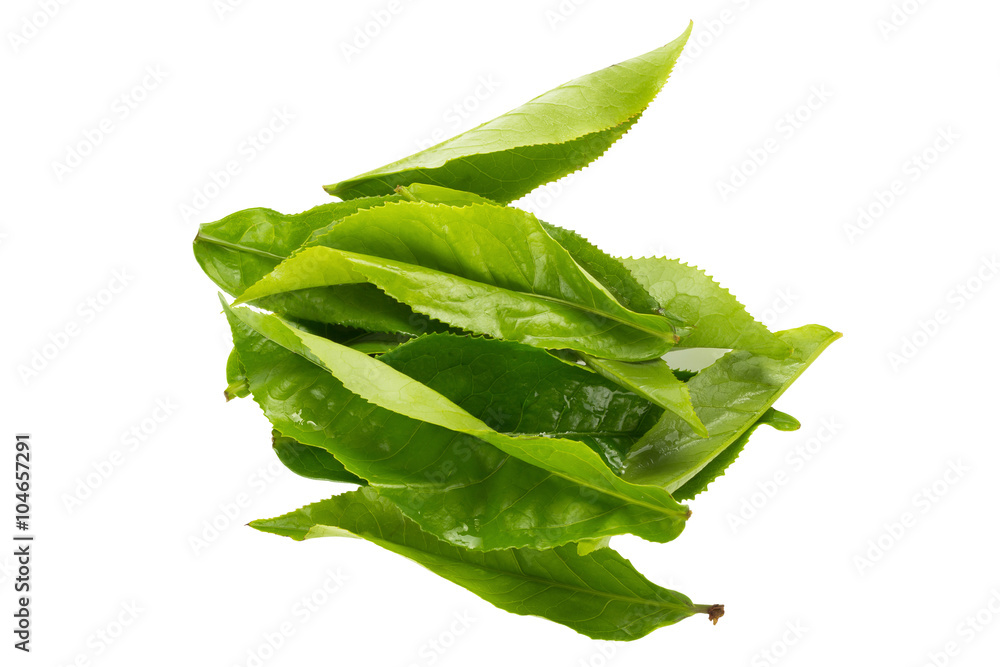 green tea leaf isolated on white background green tea leaf isolated on white background