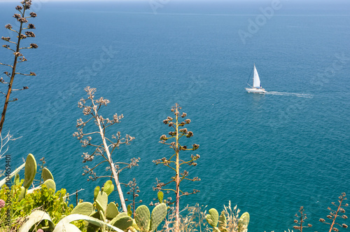 Small yacht sailing in the ocean with flora
