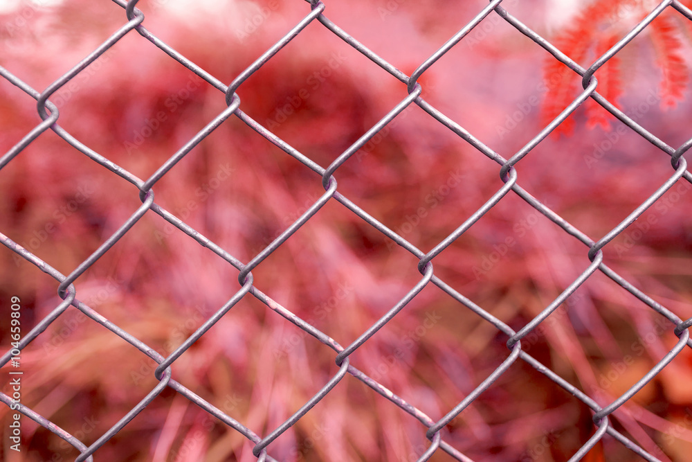 Fototapeta premium Abstract background of wire fence with red background