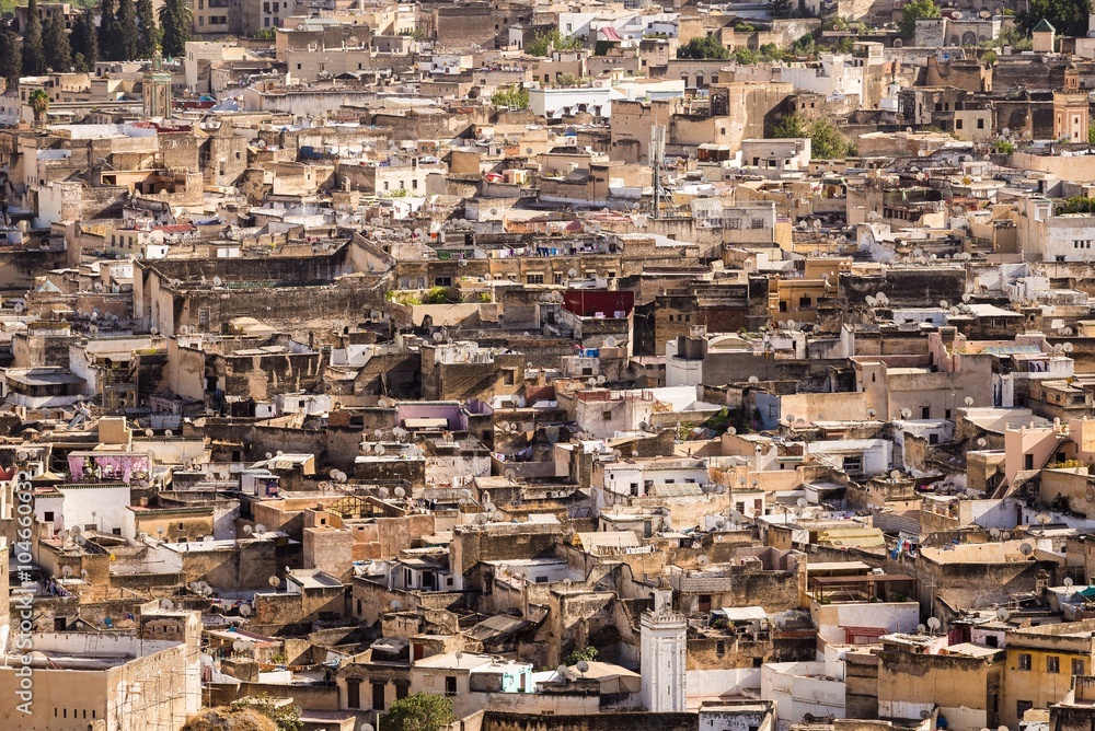 view over the medina of fes