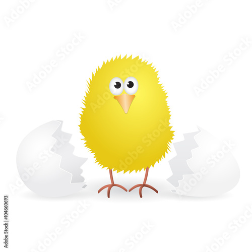 Cute little yellow chick just hatched from the egg. Vector illustration.