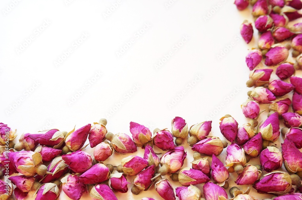 Border frame of dried pink rose buds Border frame of dried pink rose buds