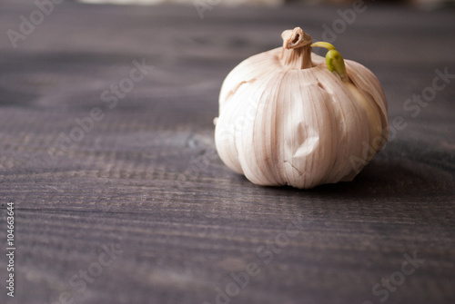 Whole head of garlic