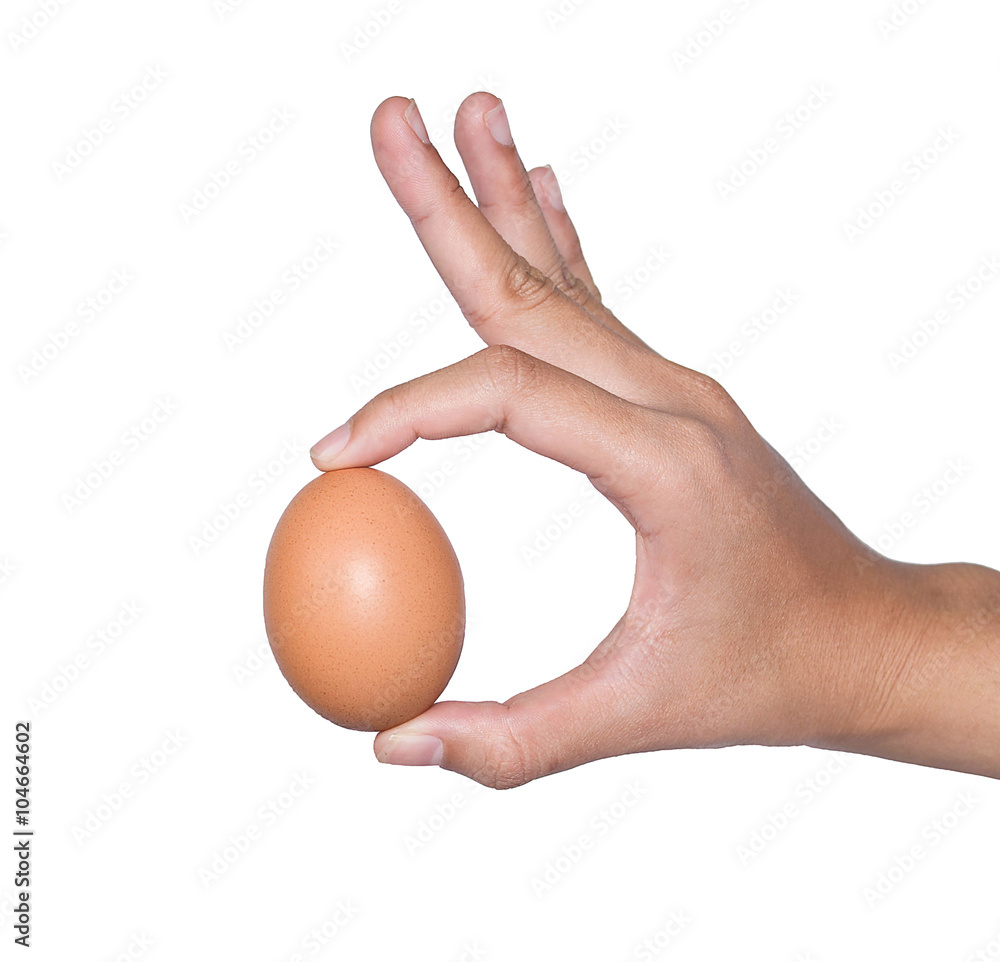 hand holding egg easter day/ isolated on white background