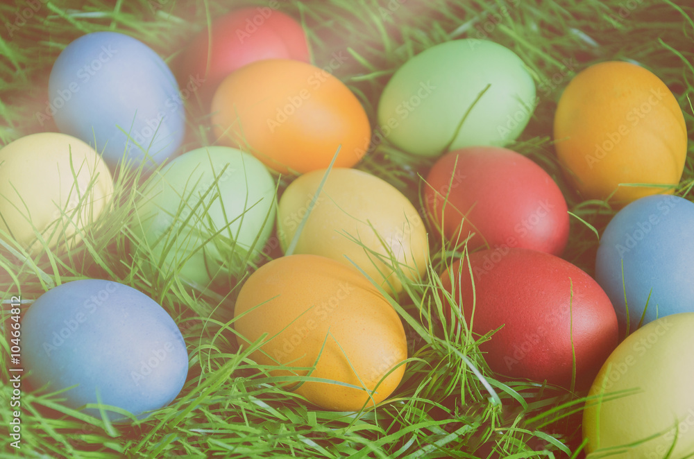 Bunte Eier im Osternest - Colored eggs in a nest of Easter Bunte Eier im Osternest - Colored eggs in a nest of Easter