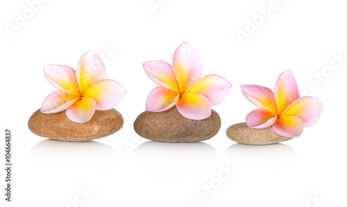 zen stones with frangipani flower on white background