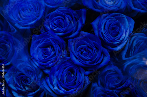 Blue roses in a bouquet