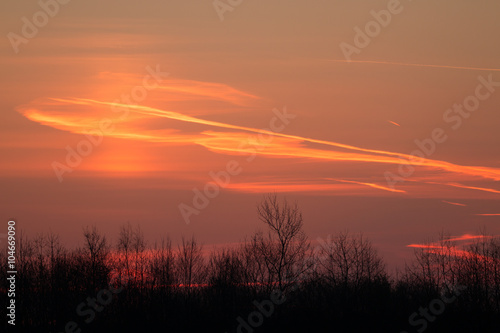 Sonnenaufgang über einem Wald