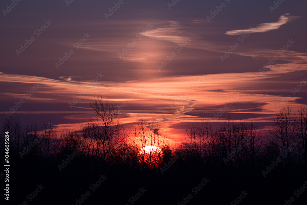 Fototapeta premium Sonnenaufgang über einem Wald