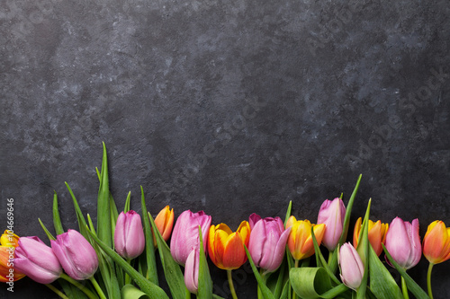 Fototapeta Naklejka Na Ścianę i Meble -  Fresh colorful tulip flowers