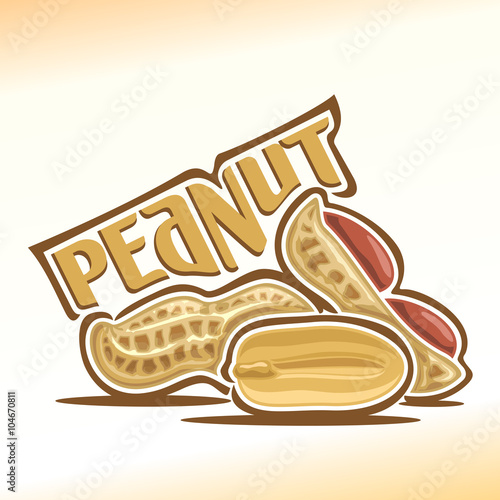 Vector illustration on the theme of the logo for peanut nuts, consisting of peeled half peanut nutlet and two nuts in the nutshell