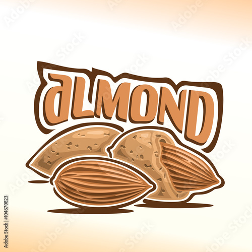 Vector illustration on the theme of the logo for almond nuts, consisting of peeled almond nutlet and two nuts in the nutshell