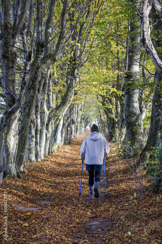 nordic walking