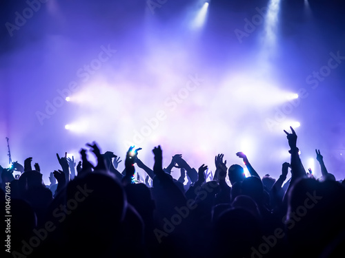 cheering crowd at a rock concert © DWP