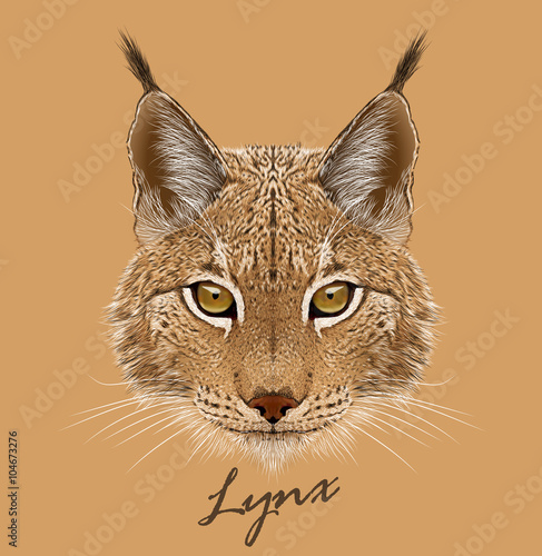 Vector Illustrative portrait of Lynx cat