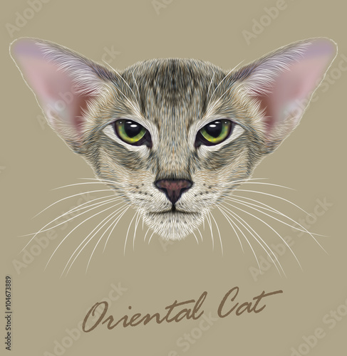 Vector Illustrative Portrait of Oriental Cat. © ant_art19