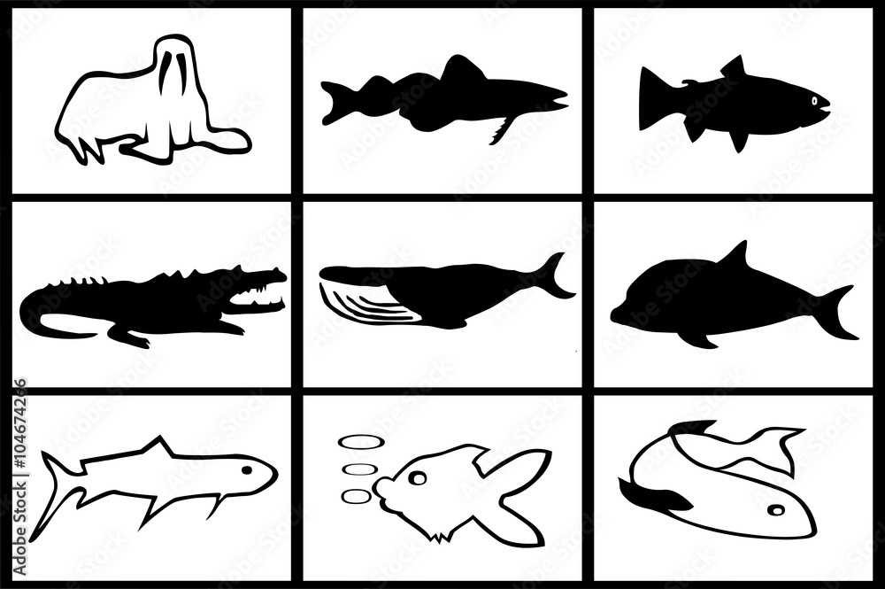 Naklejka premium Balıklar