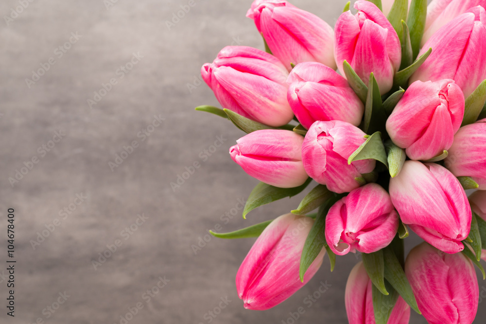 Obraz premium More tulip on the grey background.