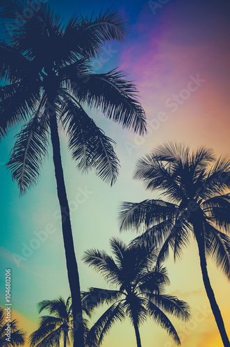 Fototapeta Naklejka Na Ścianę i Meble -  Retro Sunset Palm Trees