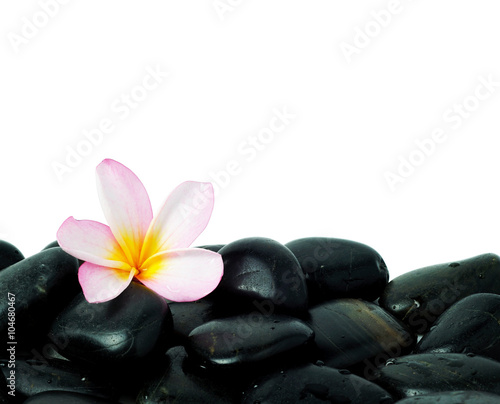 Horizontal zen stones and frangipani flower with white background