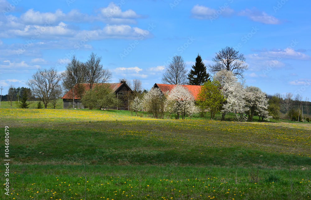 Old farm in spring sunny landscape Old farm in spring sunny landscape