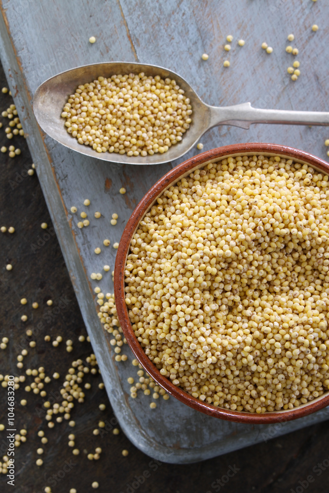 healthy uncooked millet grains healthy uncooked millet grains