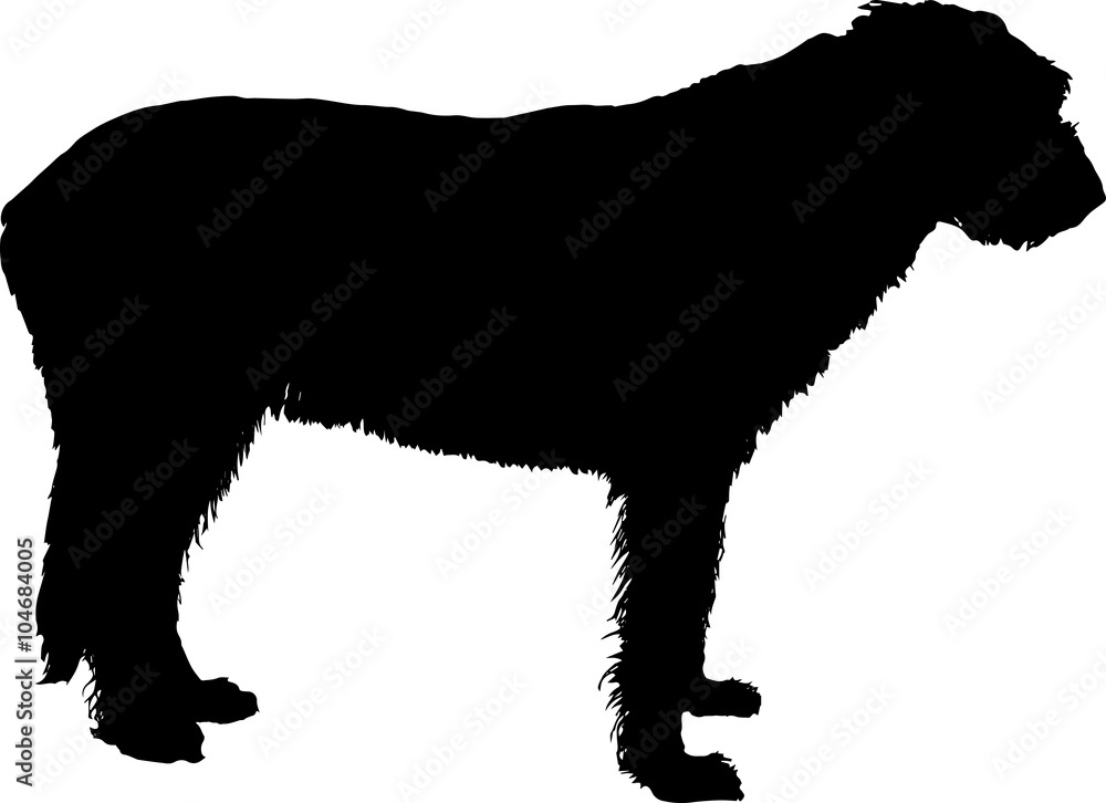 irish wolfhound vector silhouette on white background irish wolfhound vector silhouette on white background
