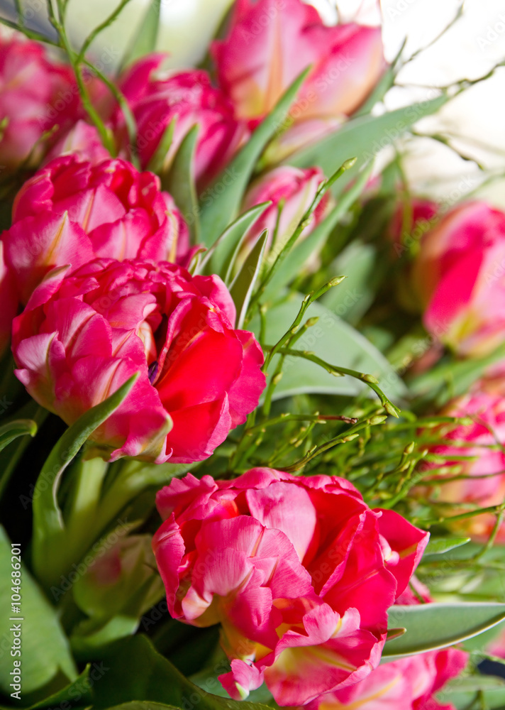 Tulpenstrauß Tulpenstrauß