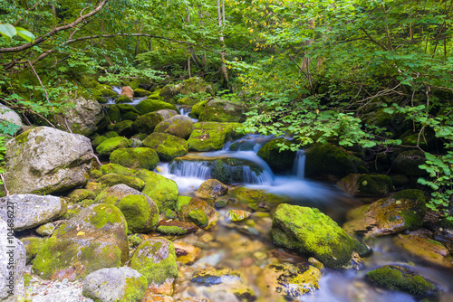 Creek in the Ligurian Alps