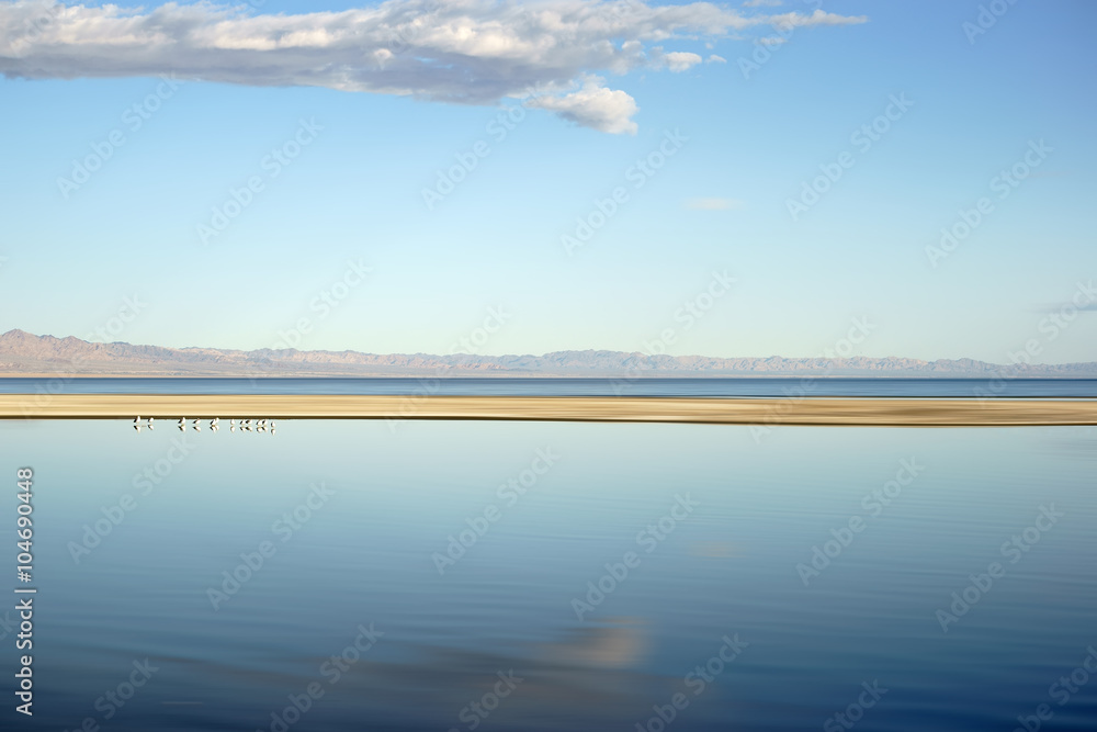 Weite des Saltonsees / Die glatte Wasseroberfläche des salzhaltigen Saltonsee mit einem kleinen Vogelschwarm.