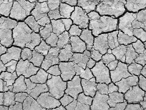 Mud cracks dryness ground texture