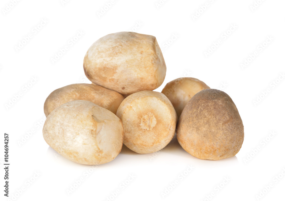 Straw mushrooms on white background Straw mushrooms on white background