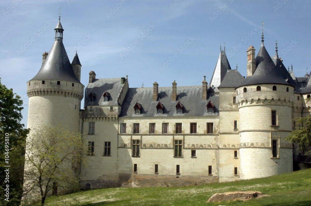 royal castle in France
