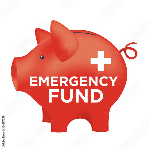 Financial Emergency Fund Piggy Bank to Protect from Home, House, Car or Vehicle Damage, Job Loss or Unemployment, and Hospital or Medical Bills