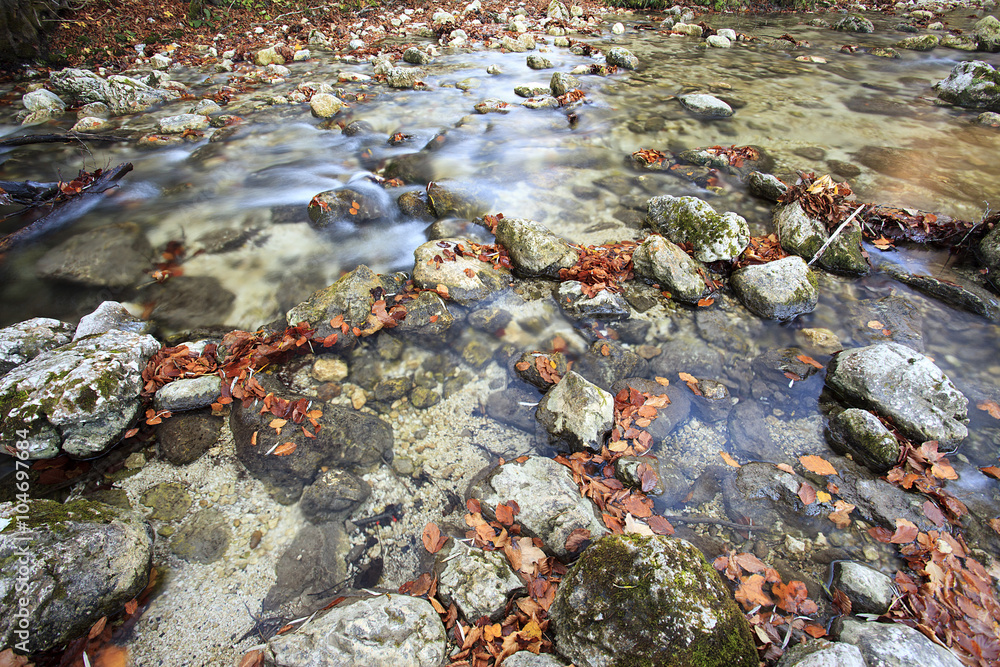 Fiume con rocce colorate dalle foglie