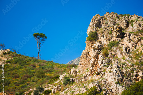 Lone tree and rocks near Malaga. Andalusia Mountain. Spain photo