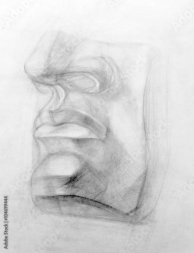 academic drawing pencil  illustration anatomy  David s face