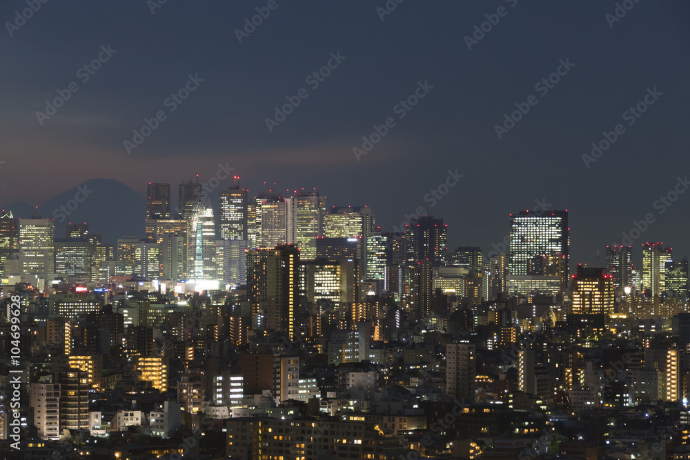 東京都市風景　新宿高層ビル群とシルエットの富士山　夜景