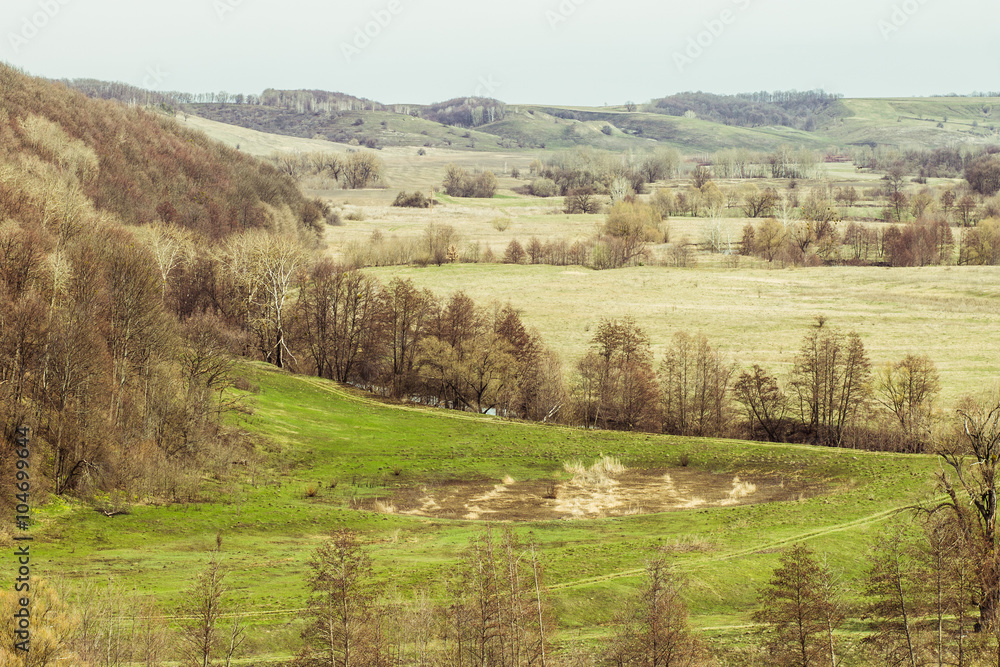 Country landscape with woods on hills
