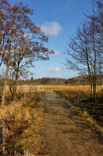 Pathway through wetland, Noerremoelle Meadows, Nørremølle Enge, Viborg, Denmark