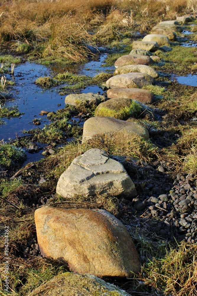 Stone path through the wetland Stone path through the wetland
