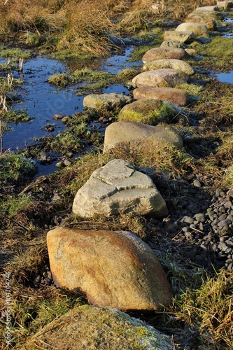Stone track through the wetland