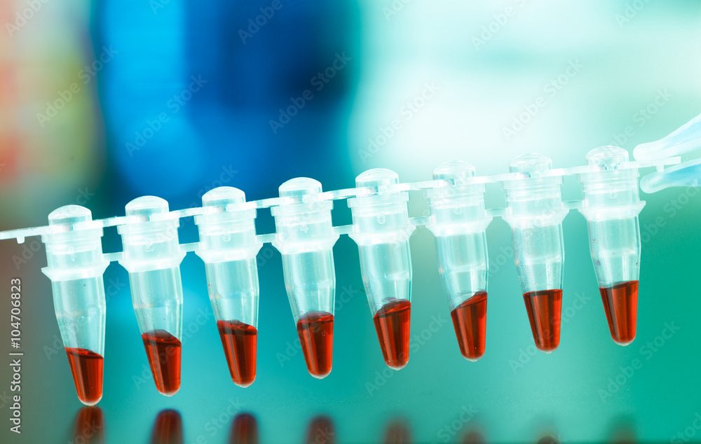 pcr analysis dna profiling Stock Photo | Adobe Stock